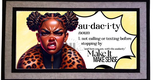 Funny Audacity Doormat | Sassy Welcome Mat for Entryway